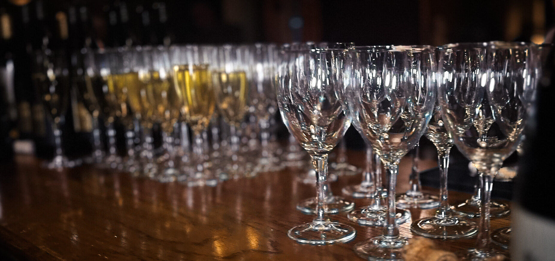 Wine Dinner